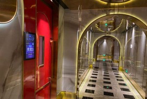 杭州求职新选择：宠物托运公司岗位探寻