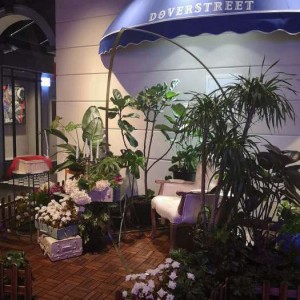 仰韶厂家酒的销售技巧（创新策略：仰韶酒厂市场拓展与消费者互动艺术）