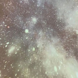 瑞丽与杭州：哪城求职更适配行业需求？