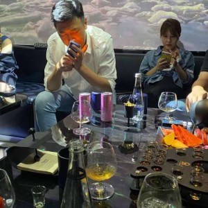 如何写酒的推广技巧销售（创新策略：精准撰写酒水推广文案与提升销售技巧）